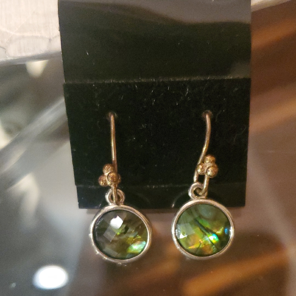 Silver Abd Stone Dangle Earrings